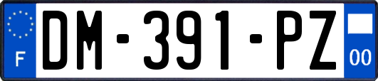 DM-391-PZ