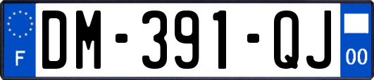 DM-391-QJ