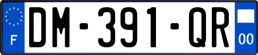DM-391-QR