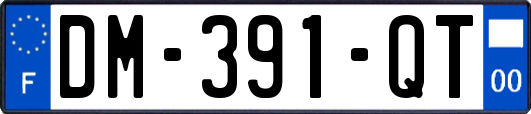 DM-391-QT