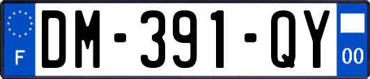 DM-391-QY
