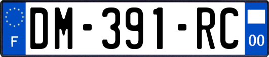 DM-391-RC