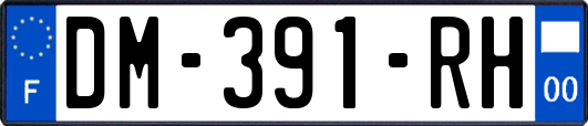 DM-391-RH