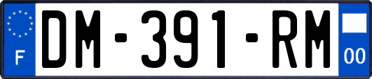 DM-391-RM
