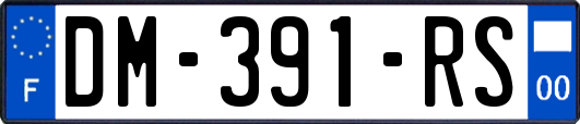 DM-391-RS