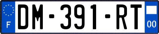 DM-391-RT