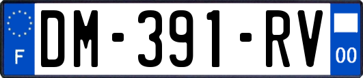 DM-391-RV