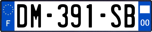 DM-391-SB