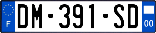 DM-391-SD