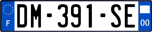 DM-391-SE