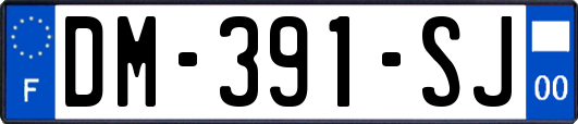 DM-391-SJ