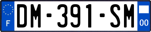 DM-391-SM