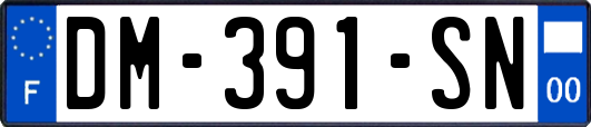 DM-391-SN