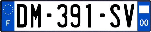 DM-391-SV