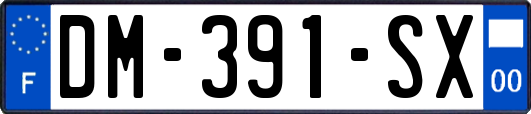 DM-391-SX