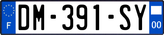 DM-391-SY