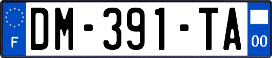 DM-391-TA