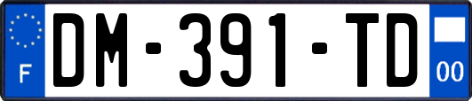 DM-391-TD