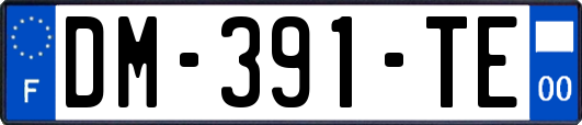 DM-391-TE