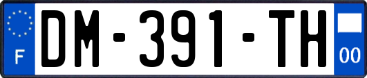 DM-391-TH