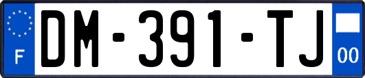 DM-391-TJ