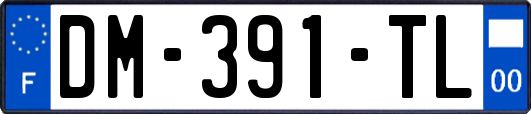 DM-391-TL