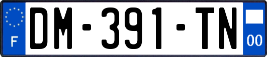 DM-391-TN