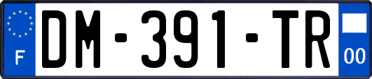 DM-391-TR