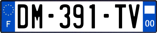DM-391-TV