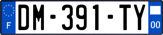 DM-391-TY