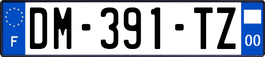 DM-391-TZ