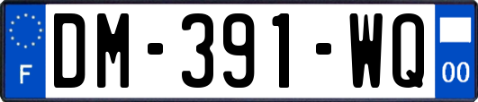 DM-391-WQ