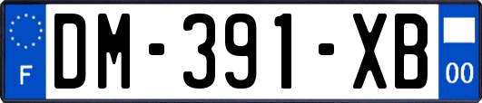 DM-391-XB