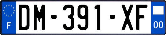 DM-391-XF
