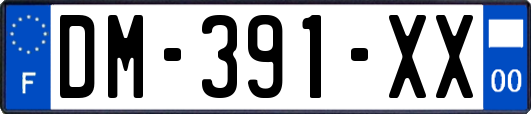 DM-391-XX