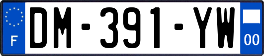 DM-391-YW