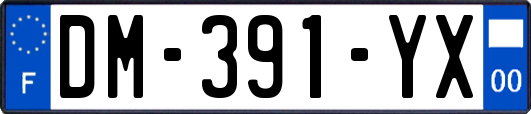 DM-391-YX