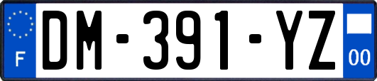 DM-391-YZ