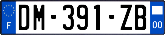 DM-391-ZB