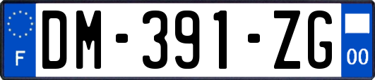 DM-391-ZG