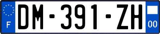 DM-391-ZH