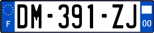 DM-391-ZJ