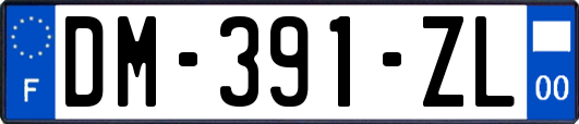 DM-391-ZL