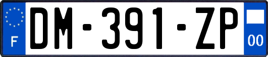 DM-391-ZP