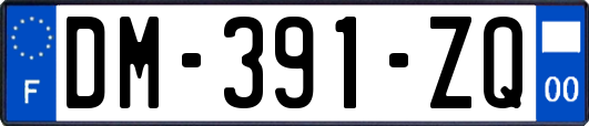 DM-391-ZQ