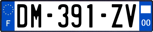 DM-391-ZV