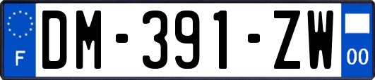 DM-391-ZW