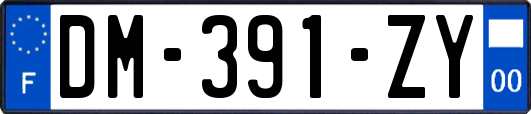 DM-391-ZY