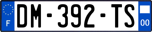 DM-392-TS