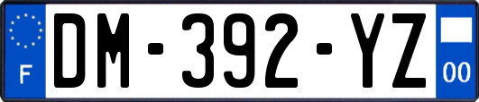 DM-392-YZ